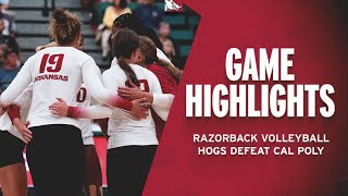 Highlights Hogs Defeat Cal Poly  RAZORBACK VOLLEYBALL [upl. by Auohc]