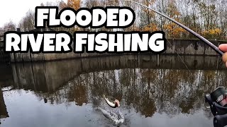 PIKE amp PERCH FISHING A FLOODED RIVER [upl. by Marcelia]