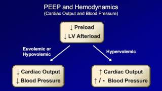 Physiologic Consequences Mechanical Ventilation  Lecture 10 [upl. by Erek]