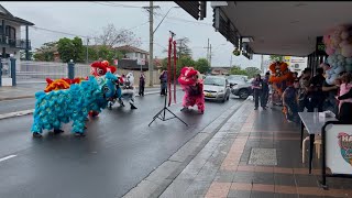 Lion dance regrade opening at happy ramen in Cabramatta liondance2024 [upl. by Eenad]