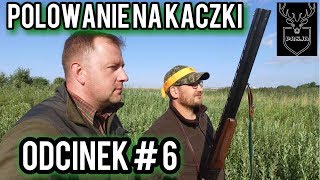 POLOWANIE NA KACZKI [upl. by Folly]