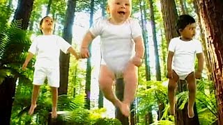 Learn with Nature  Forest  for babies toddlers infants amp preschoolers [upl. by Kallista]