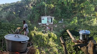 Renovation of this house continues  Cooking goat meat w coconut rice  stunning view  Look [upl. by Ferrand]