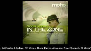 Groove Junkies In The Zone Album Promo Video [upl. by Nashner853]