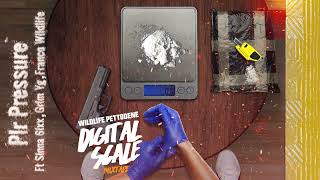 Wildlife Pettodene  PLR Pressure ft Sinna 6ixx Grim YG Franco Wildlife Digital Scale Mixtape [upl. by Alanah]