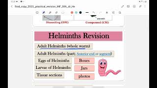 Practical parasitology Part 1 Adult helminths [upl. by Fein786]