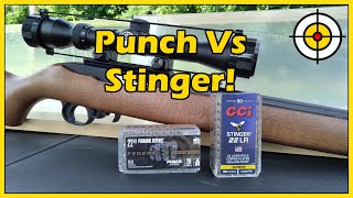 Federal Punch vs CCI Stinger 22lr Ballistic Gel Test With The Ruger 1022 Carbine [upl. by Gennaro547]