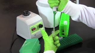 Serial Dilution and Plate Counts [upl. by Avevoneg]