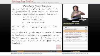 quotPhosphoryl Group Transfersquot  Biochemistry with Educatorcom [upl. by Leruj]