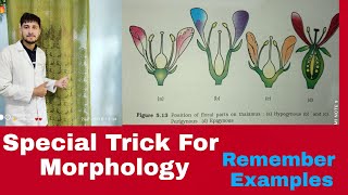 Special Trick for Morphology 😲😱 Examples of HypogynousPerigynousEpigynous [upl. by Allemap]