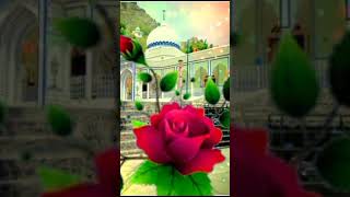 pashto Ghazal Badshah Meer Akbar jan syed 20242025 pashtoghazal [upl. by Arze]