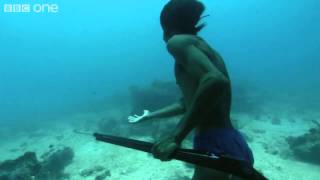 ‪Superhuman Filipino diver from the Badjao tribe BBC [upl. by Dowdell]