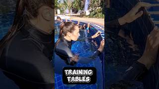 BEST FREEDIVING TRAINING FOR BEGINNERS [upl. by Htebazileharas]