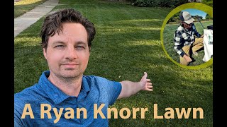 1yr RESULTS I Tried a Ryan Knorr Tall Fescue Lawn renovation [upl. by Eybba]