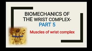 Wrist muscle biomechanicspart 5 volar and dorsal wrist muscles anatomy and biomechanics [upl. by Myrtle]