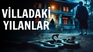 Yeni Yaptırdığım Villadaki Yılanlarla Yaşadığım Paranormal Olaylar  Cin Hikayeleri  Korku Hikayesi [upl. by Neffets]