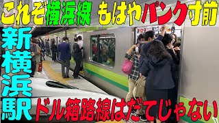 ★これぞ横浜線★駅はもはやパンク寸前 ドル箱路線はだてじゃない 【新横浜駅】神奈川県横浜市 [upl. by Eustashe]