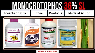 Monocrotophos 36 SL  Monocrotophos Insecticide  Uses  Dose  For which Insects  Mode of Action [upl. by Stearns]