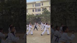 taekwondo basic movement [upl. by Lexi380]