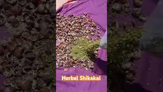 Herbal Shikakai Powder Preparation  Shri Mangalya Foods Srirangam trendingshorts homemade [upl. by Ocirrej959]