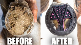 Satisfying Full Horse Hoof Restoration  4K FARRIER ASMR [upl. by Eneryc741]