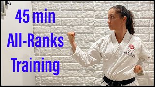 Karate workout 45min all ranks class [upl. by Krahling646]