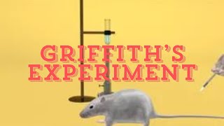 🧬 Unveiling Griffiths Experiment The Genetic Transformation Revolution 🌟 [upl. by Stickney724]