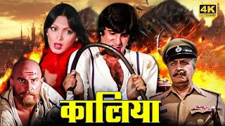 Vintage Amitabh Bachchan Action Movie  Kaalia 1981  Parveen Babi Kader Khan Amjad Khan Pran [upl. by Ecar451]