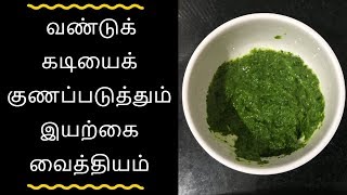 வண்டுக் கடியைக் குணப்படுத்தும் இயற்கை வைத்தியம்  Tamil health tips [upl. by Hedberg]