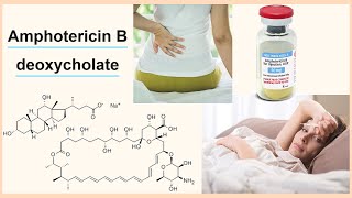 amphotericin B deoxycholate [upl. by Shing220]