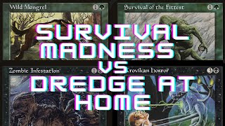 Survival Madness vs Dredge  PREMODERN MTG  Impulse Plays [upl. by Aihseuqram]