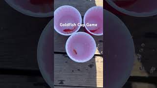 Has anyone played the goldfish cup game fishing [upl. by Benoit]