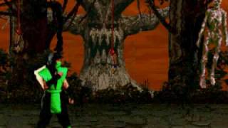 MK1 Ermac VS MK1 Reptile Glitch [upl. by Lyssa374]