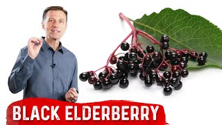 The Amazing Benefits of Black Elderberry [upl. by Meggi205]