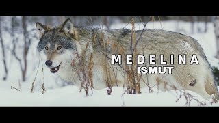 ISMUT  Medelina  official Video [upl. by Jareb]