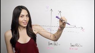 Introduction to Limits NancyPi [upl. by Namyl525]