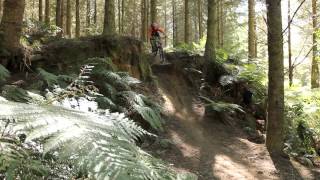 Mountain Biking in Rotorua New Zealand [upl. by Nile]