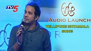 Singer Karthik Sings YELLIPOKE SHYAMALA Song  Nithin  Samantha  A Aa Audio Launch  TV5 News [upl. by Atiram]