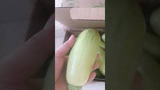 Fresh Zucchini satisfying food asmr shorts ytshorts analizacalimpitan6552 [upl. by Levinson]