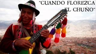 CUANDO FLOREZCA EL CHUÑO  CHARANGO QUENA Y ZAMPOÑA [upl. by Wendeline]