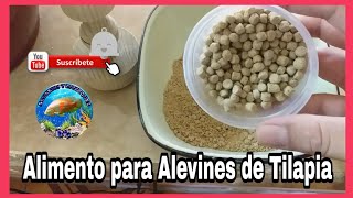 Como hacer Alimento Para Alevines de Tilapia Fácil de hacer para los primeros 5 días de nacidos [upl. by Earley]