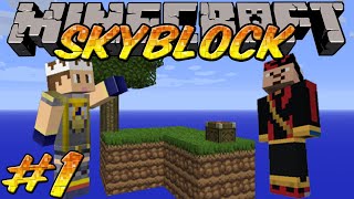 New beginnings  Skyblock Survival Ep1 [upl. by Schwartz]