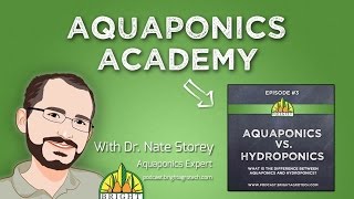 Aquaponics Academy 3 Aquaponics vs Hydroponics [upl. by Rimidalg631]