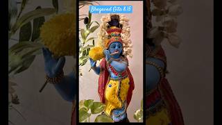 Bhagavad Gita 815 Chapter 8 Verse 15 Gita gitachanting bhagavadgita [upl. by Witherspoon945]