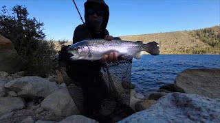 Twin Lakes Bridgeport Trout Bank Fishing Wide Open Bite [upl. by Initsed823]