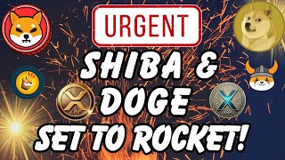 URGENT 🔥 Shiba Inu Coin Price Prediction Dogecoin To Make Millionaires 2025 [upl. by Ahsilav]