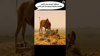 استلقى الزوجان على الأرض وتظاهرا بالموت لينجوا من أنثى الأسد Shorts فلم movie قصة film ملخص [upl. by Iy859]