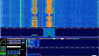 HDSDR  OMNIRig  SDRPlay  Yaesu FT450D [upl. by Albemarle943]