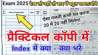 प्रैक्टिकल कॉपी में Index कैसे लिखें Practical copy Index kaise likhe  Aur index me kya kya bharen [upl. by Adoh255]