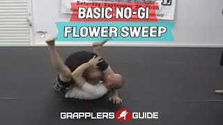 Basic NoGi Flower Sweep [upl. by Ettenan]